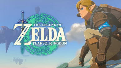 Zelda TotK Update 1.1.0