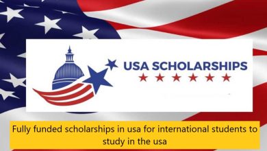 USA scholarships nd.hausatiktok.com