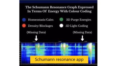 Schumann resonance app