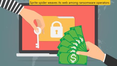Sprite spider weaves its web among ransomware operators netrk travellingall com