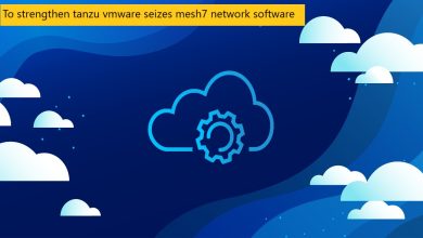 To strengthen tanzu vmware seizes mesh7 network software