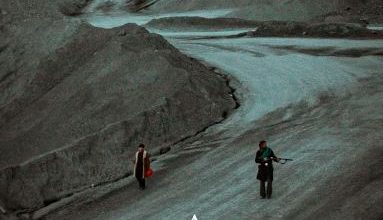 a hollow tree movie where to watch