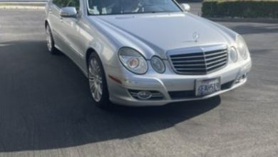 Auto Cars - Doglana.com Reviews