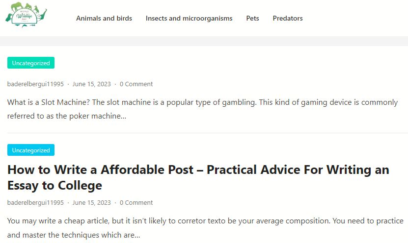 bikeracetoday.com pets