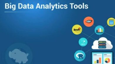 edu.birosdmpoldakalsel.id site review