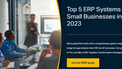 empowering small businesses with free erp software