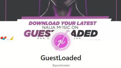 guestloaded entertainment review