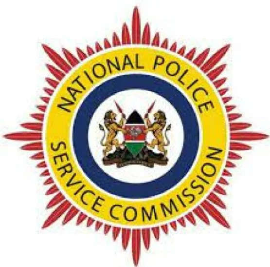 Services npsc go ke NPSC Recruitment 2023