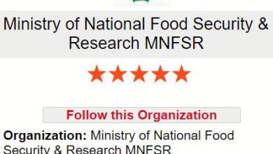latest ministry of national food security & research mnfsr new jobs 2023 jobify.pk