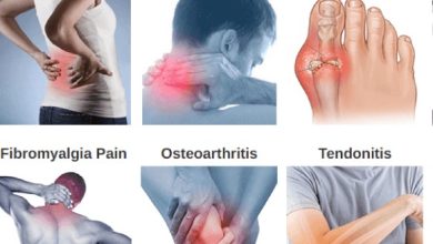 Miracle Root Gummies Scam Reddit