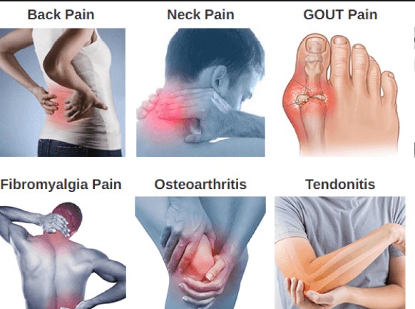 Miracle Root Gummies Scam Reddit