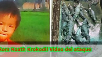 rom roath krokodil video del ataque