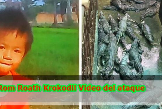 rom roath krokodil video del ataque