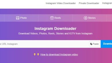 Saveinsta.app/es Download