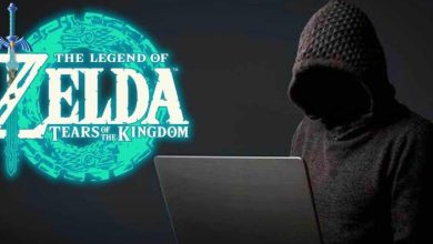 The Legend of Zelda: Tears of the Kingdom Leaks