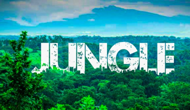 Urban Jungle Capcut Template