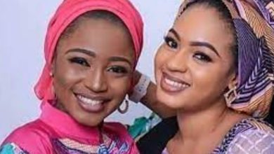 Viralnorth.com.ng Site Review