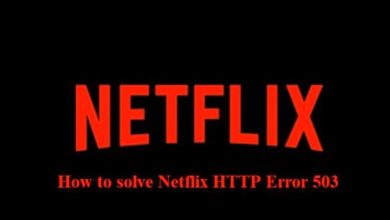 www.netflix.com is currently unable to handle this request. http error 503