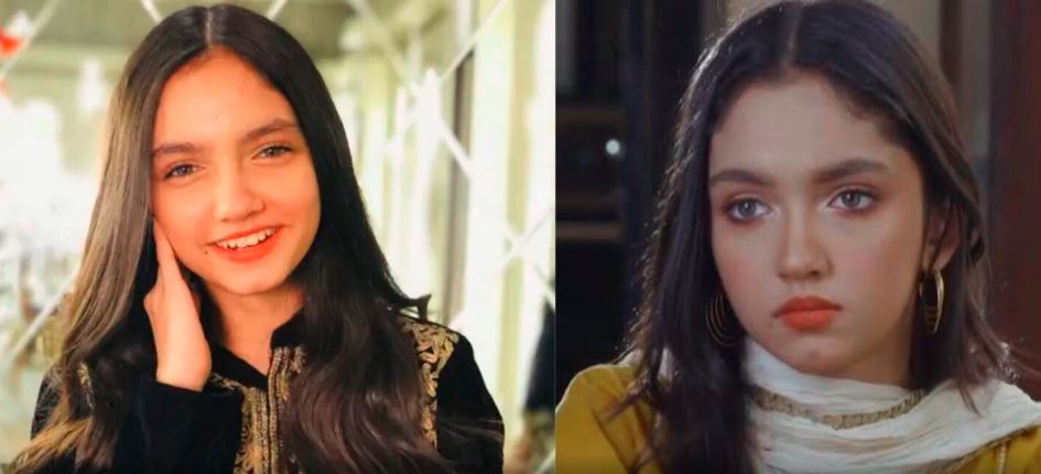 Aina asif swimming pool video on reddit