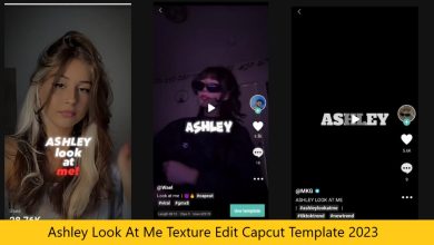 Ashley look at me capcut template