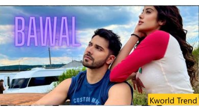 Bawal full movie on dailymotion