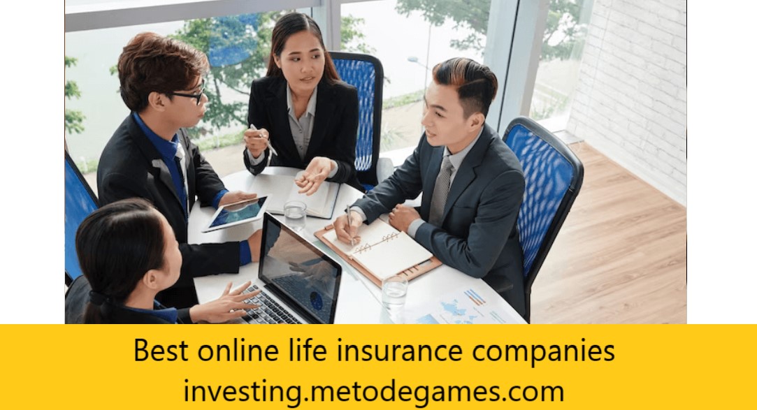Best online life insurance companies investing.metodegames.com