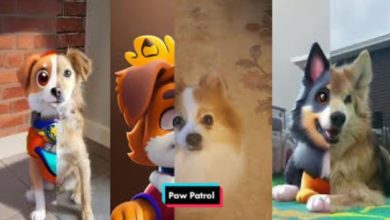 How to Apply TikTok Paw Patrol Filter on Your Pets