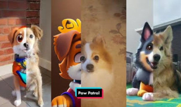 How to Apply TikTok Paw Patrol Filter on Your Pets