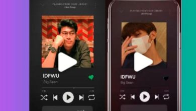 IDFWU Big Sean CapCut Template Link