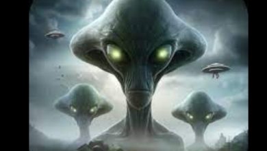 Kumburgaz Video: Footage Showing Two Aliens In UFO