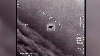 Kumburgaz Video: Footage Showing Two Aliens In UFO