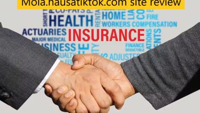 Mola.hausatiktok.com site review