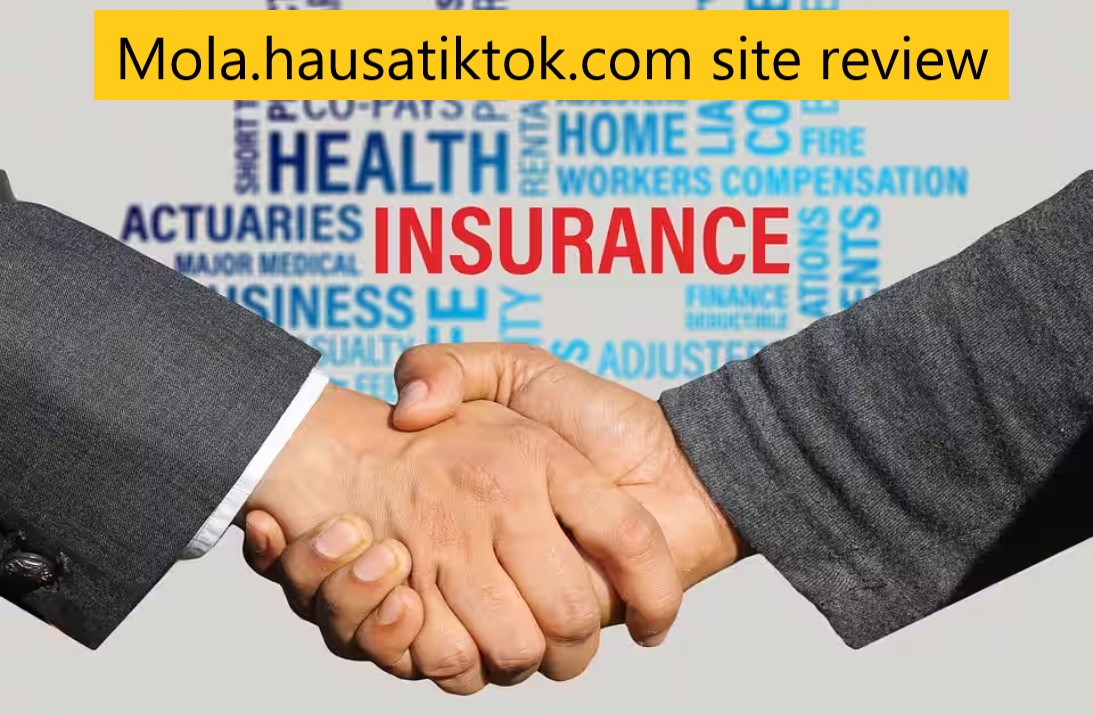 Mola.hausatiktok.com site review