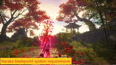 Naraka bladepoint system requirements