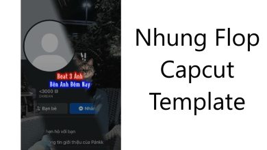 Nhung flop capcut template