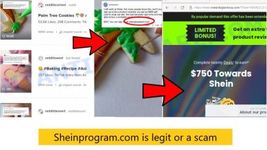 Sheinprogram.com is legit or a scam