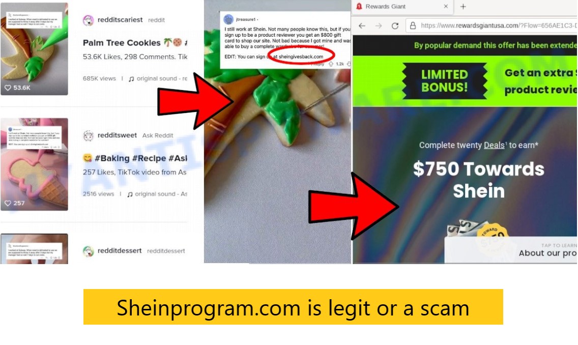 Sheinprogram.com is legit or a scam
