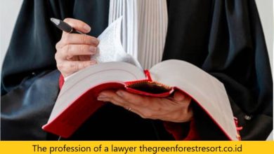 The profession of a lawyer thegreenforestresort.co.id