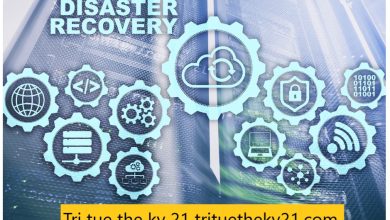 Tri tue the ky 21 trituetheky21.com