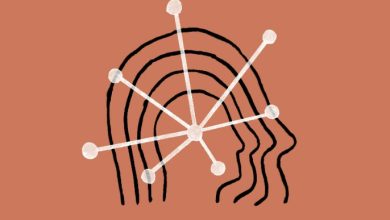 What is Claude 2 LLM? How to Use Claude 2 LLM?