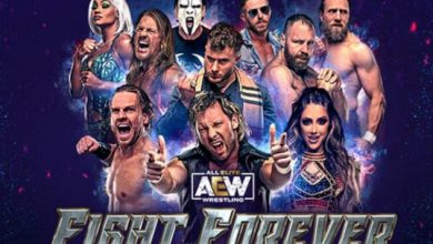 AEW Fight Forever Update
