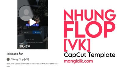 Beat 3 Anh by Nhung Flop VK CapCut Template