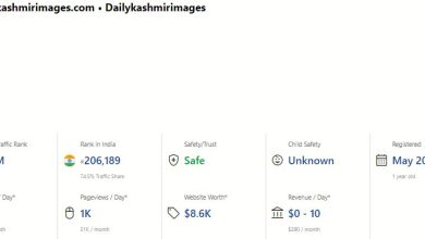 dailykaro.com site review