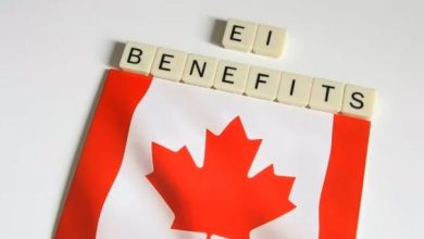 employment insurance eligibility requirements in canada 2023 ebantal.com