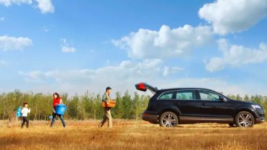 flegse.com insurance full guide