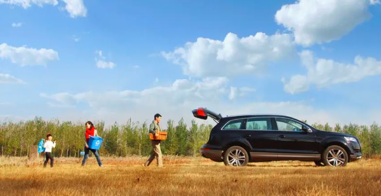 flegse.com insurance full guide