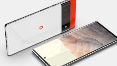 Google Pixel 6 OLED Display with Rigid Substrate