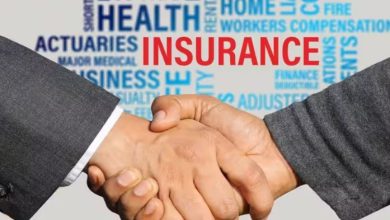 mola.hausatiktok.com Site Review