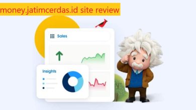 money.jatimcerdas.id site review