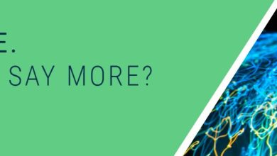 netsuite erp kosongin.com